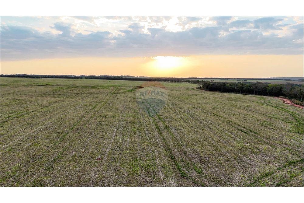 VENDO ESTANCIA PRODUCTIVA EN SAN PEDRO 2.045 HECTAREAS – 2