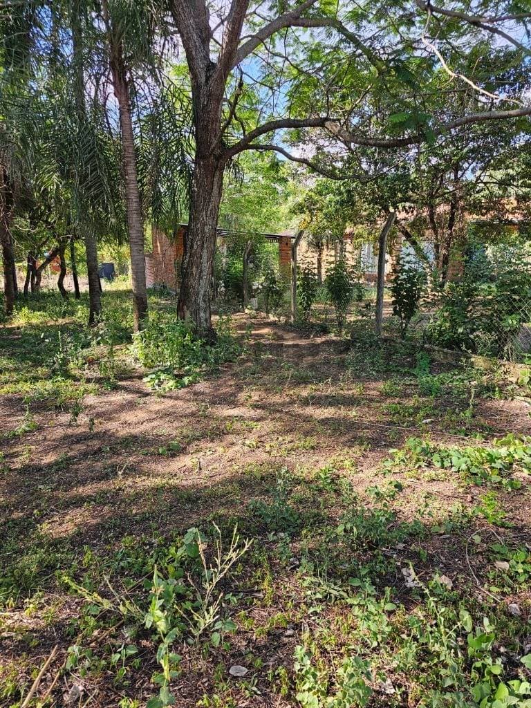 SAN BERNARDINO EN VENTA TERRENO ARBOLADO EN EXCELENTE UBICACIÓN – 3