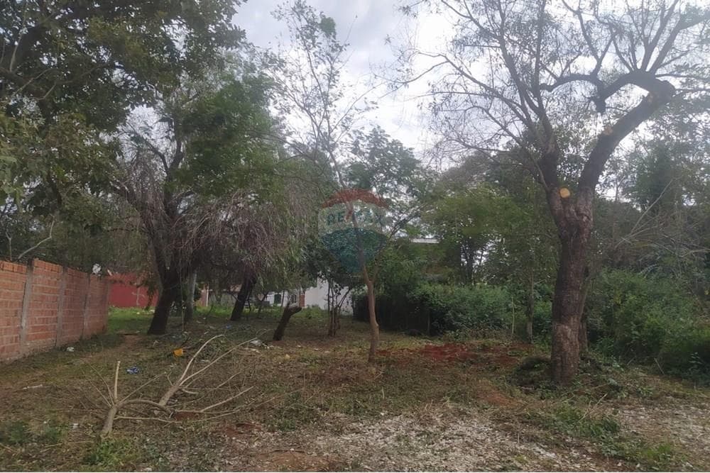 En Venta Terreno Luque – 2