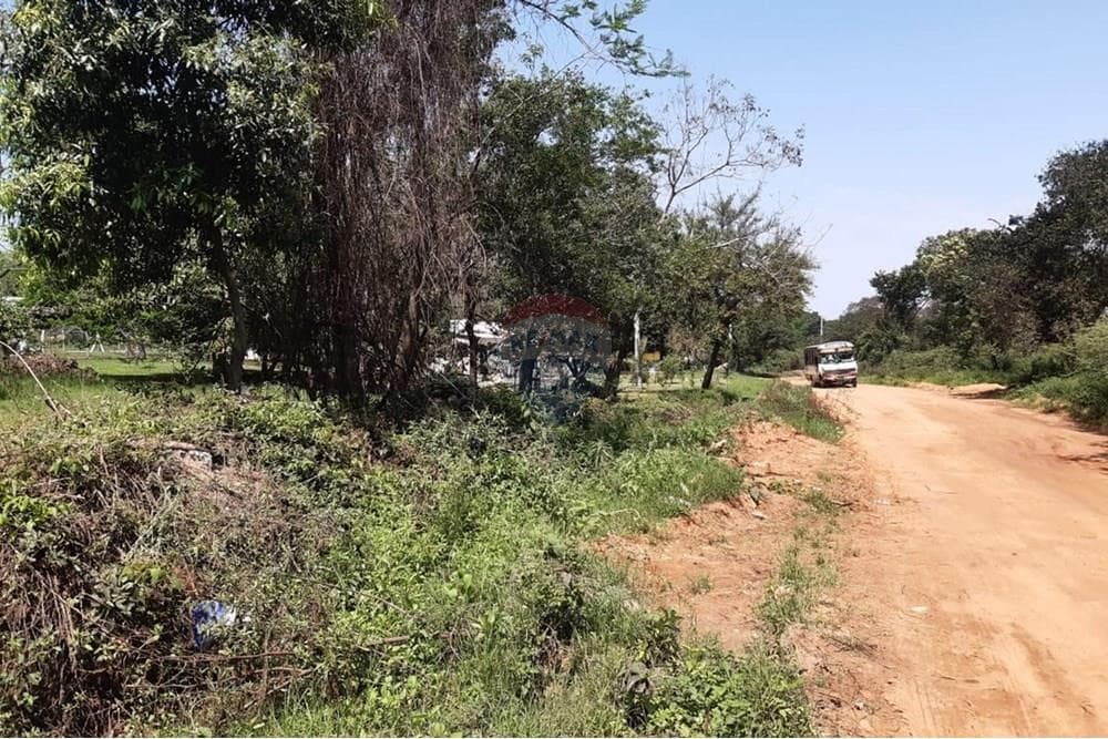 VENDO 3 TERRENO EN LUQUE junto o separados