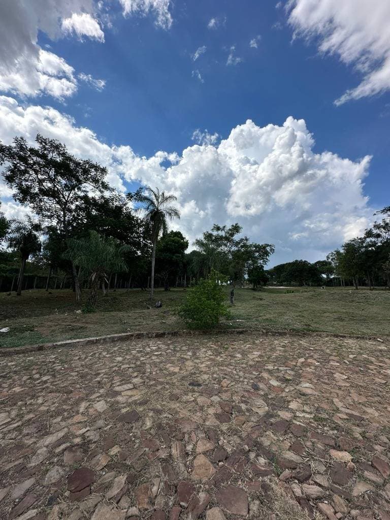 TERRENO AMPLIO EN ALTA PIETRA - SAN BERNARDINO – 3