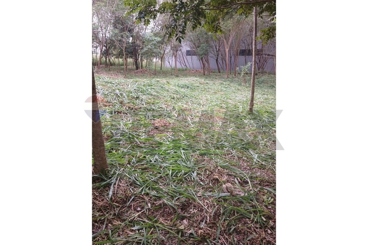 Terreno En Venta Barrio Catedral | Zona Mesquita ciudad del este – 3