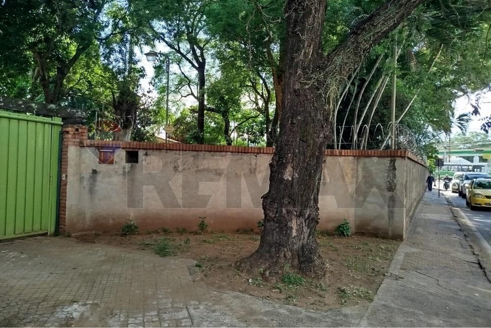 Terreno Único en Av. Mariscal López, Mburicaó – 2