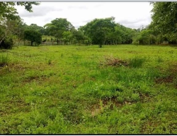 Excelente Oportunidad - Hermoso Terreno En Encarnación – 3