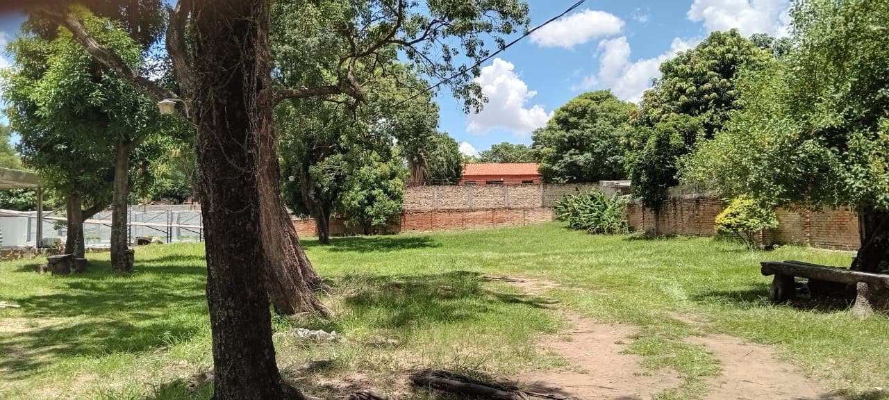 VENDO TERRENO IDEAL PARA DESARROLLO INMOBILIARIO ZONA MOLAS LOPEZ