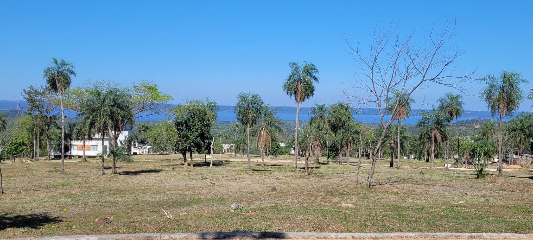 Hermoso terreno con vistas al lago - San Bernadio / Alta Pietra / Barrio cerrado – 3