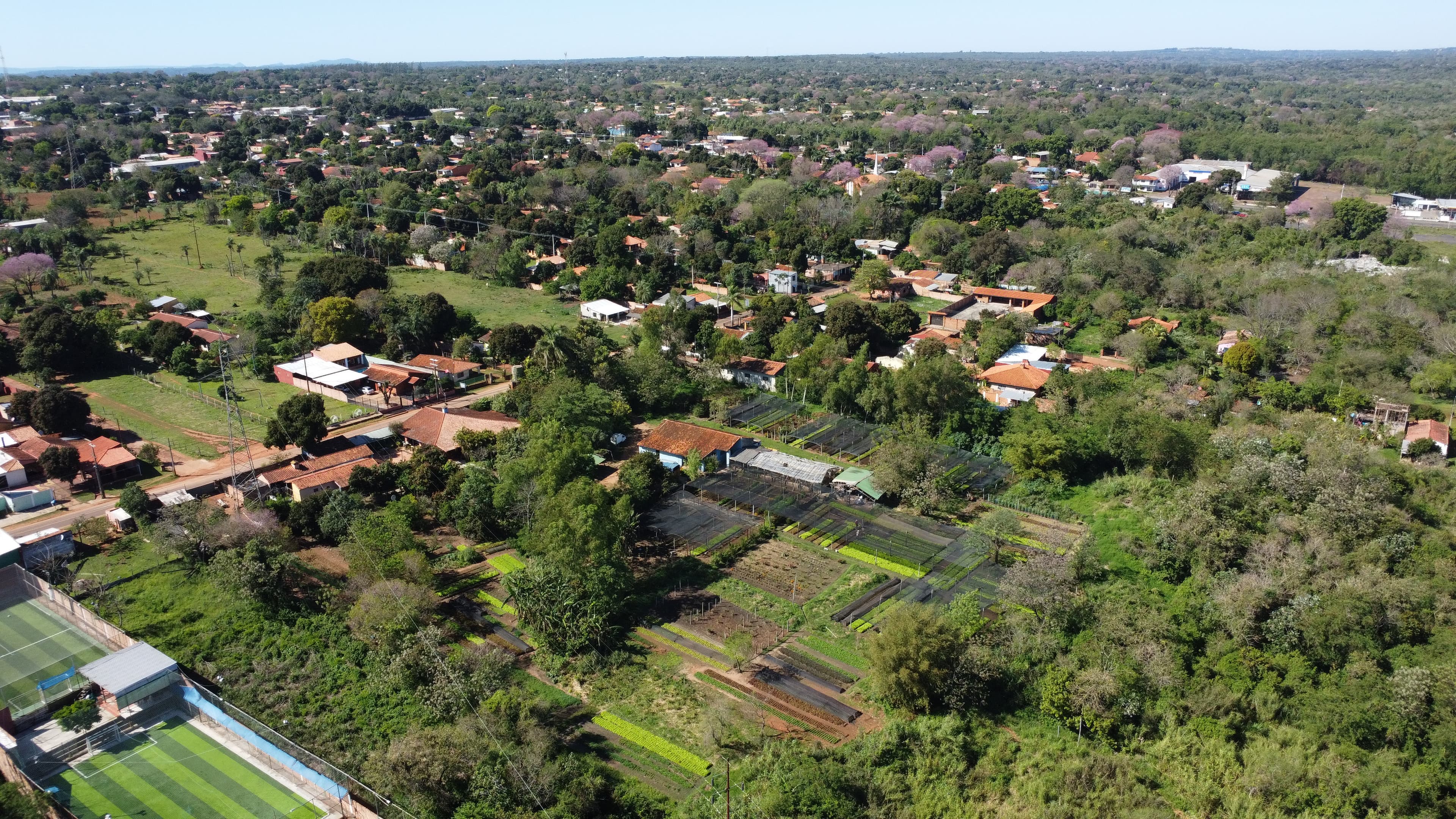 EN VENTA GRANJA DE HORTICULTURA ORGANICA – 2