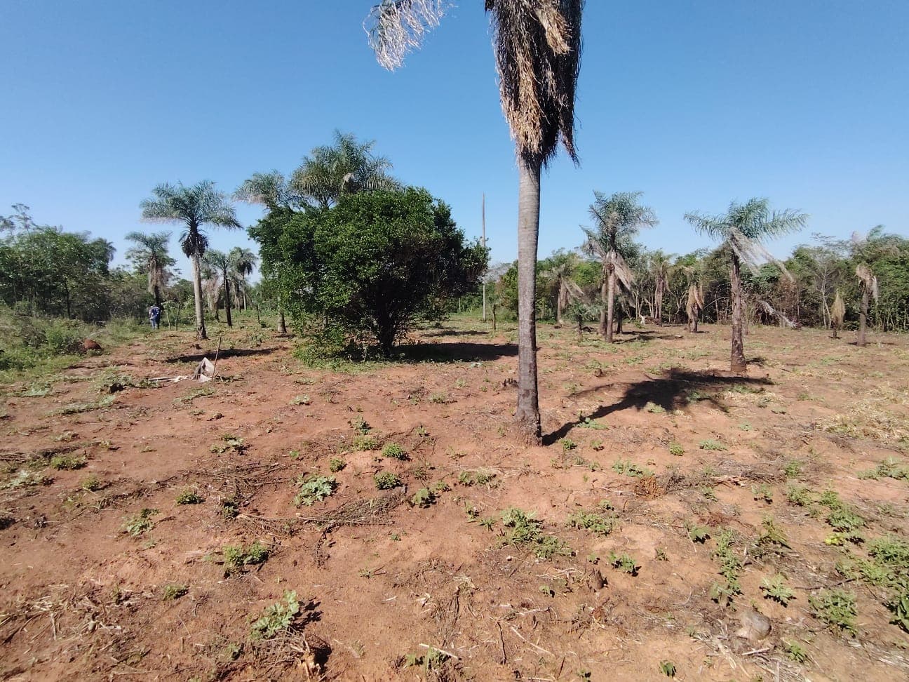 EN VENTA 3,7 HECTAREAS EN NVA COLOMBIA CORDILLERA - JG – 2