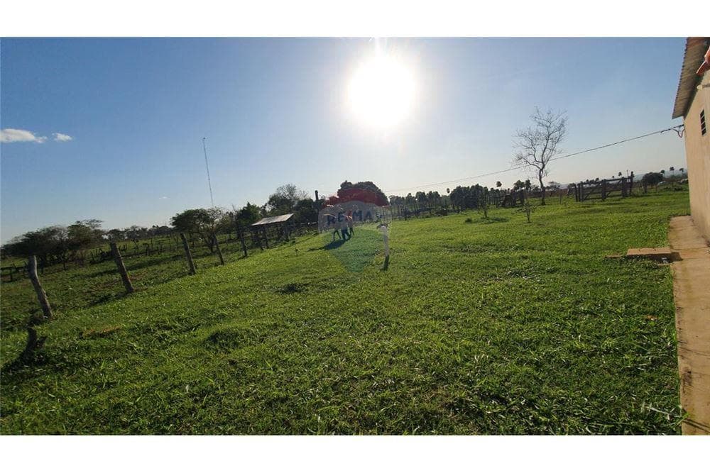 VENDO 60 HECTAREAS EN CURUGUATY – 3