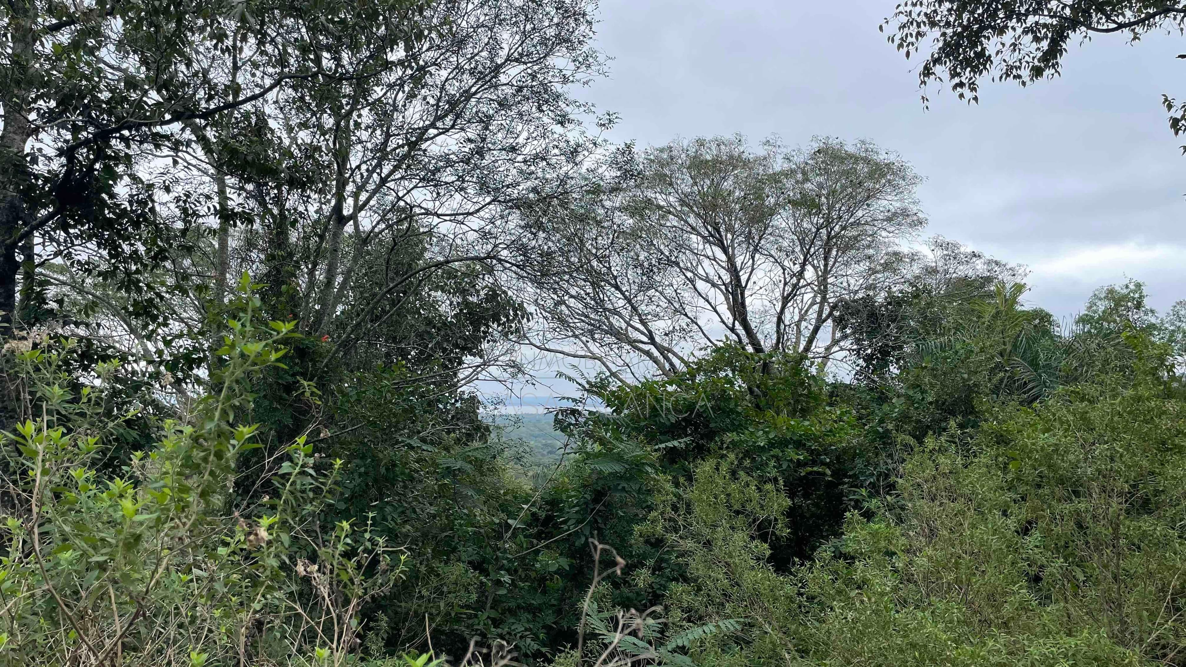 Venta Terreno en San Bernardino con Vista plena al Lago – 3