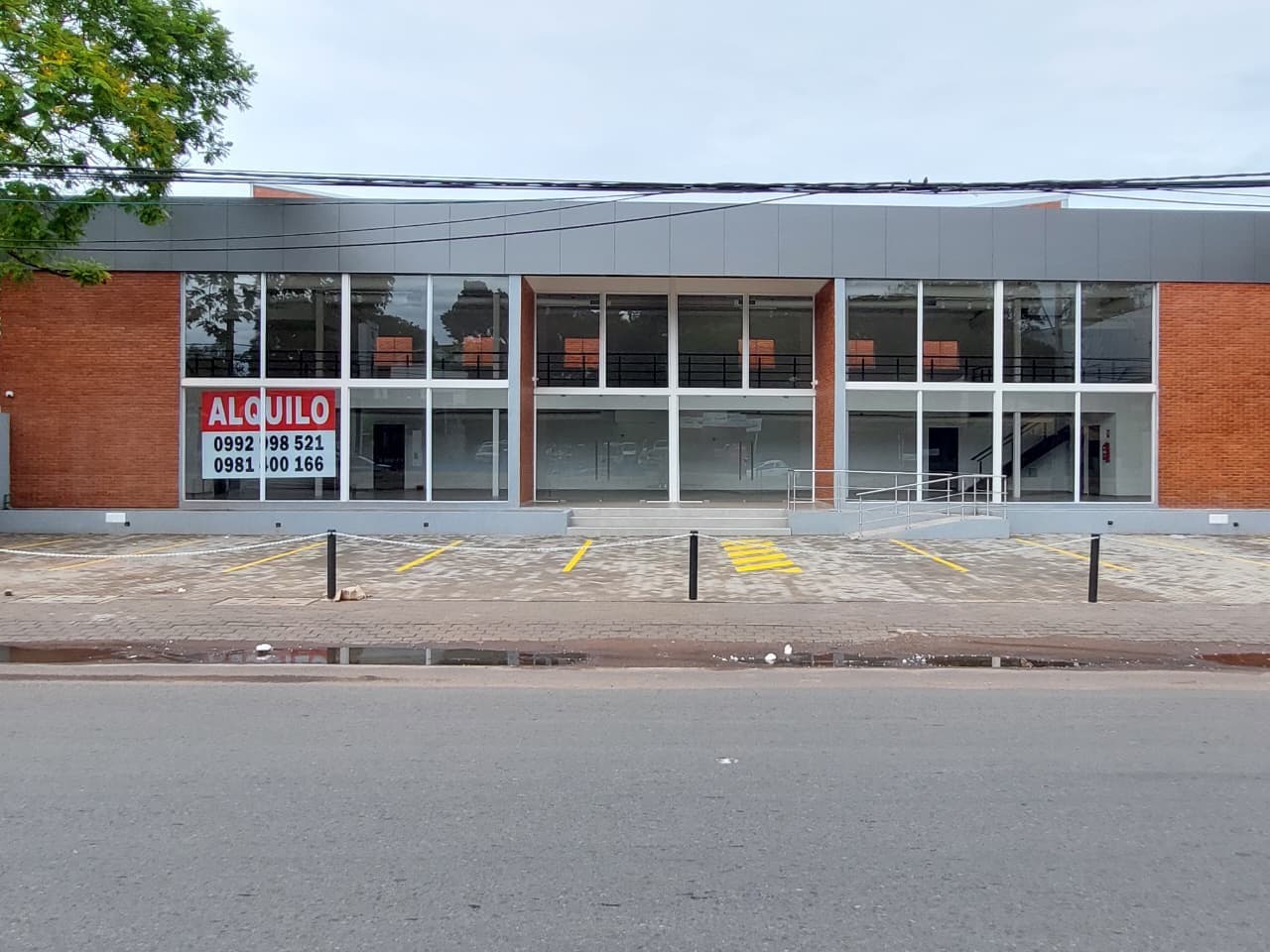 Alquilo Depósito Premium de 2.000 M2 + Showroom y Oficinas sobre Mariscal Estigarribia C-1170 – 2