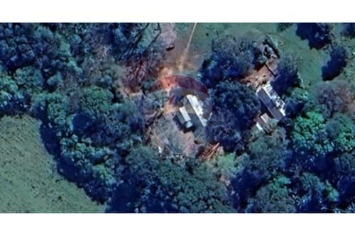 En Venta Finca - Oportunidad de inversión ganadera o agrícola – 3