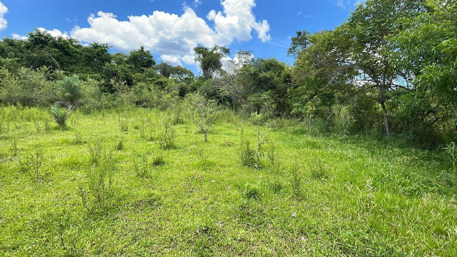 Vendo 20 hectáreas en San José de los Arroyos