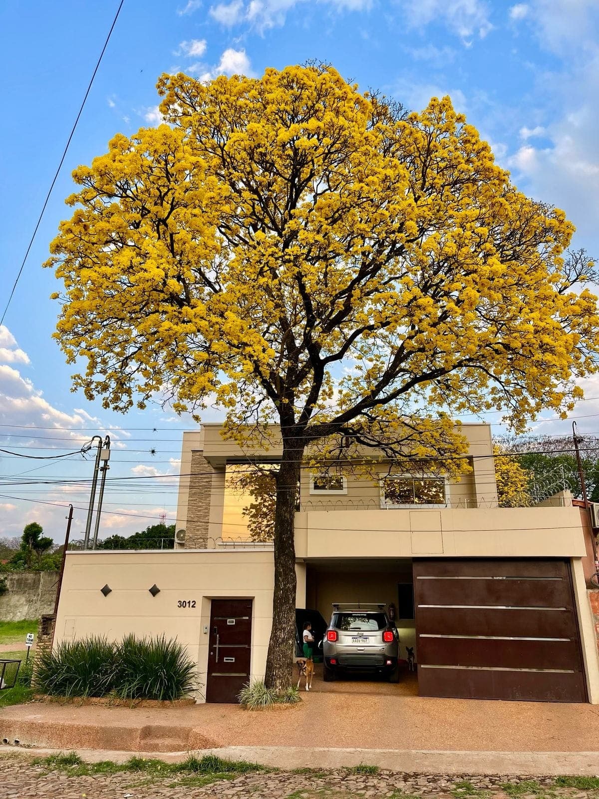Vendo Casa En Lambare – 3