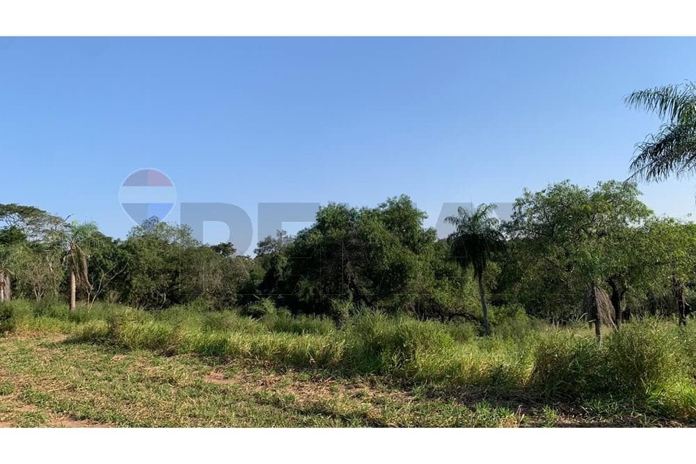 VENDO TERRENO EN SURUBI'I - MARIANO ROQUE ALONSO