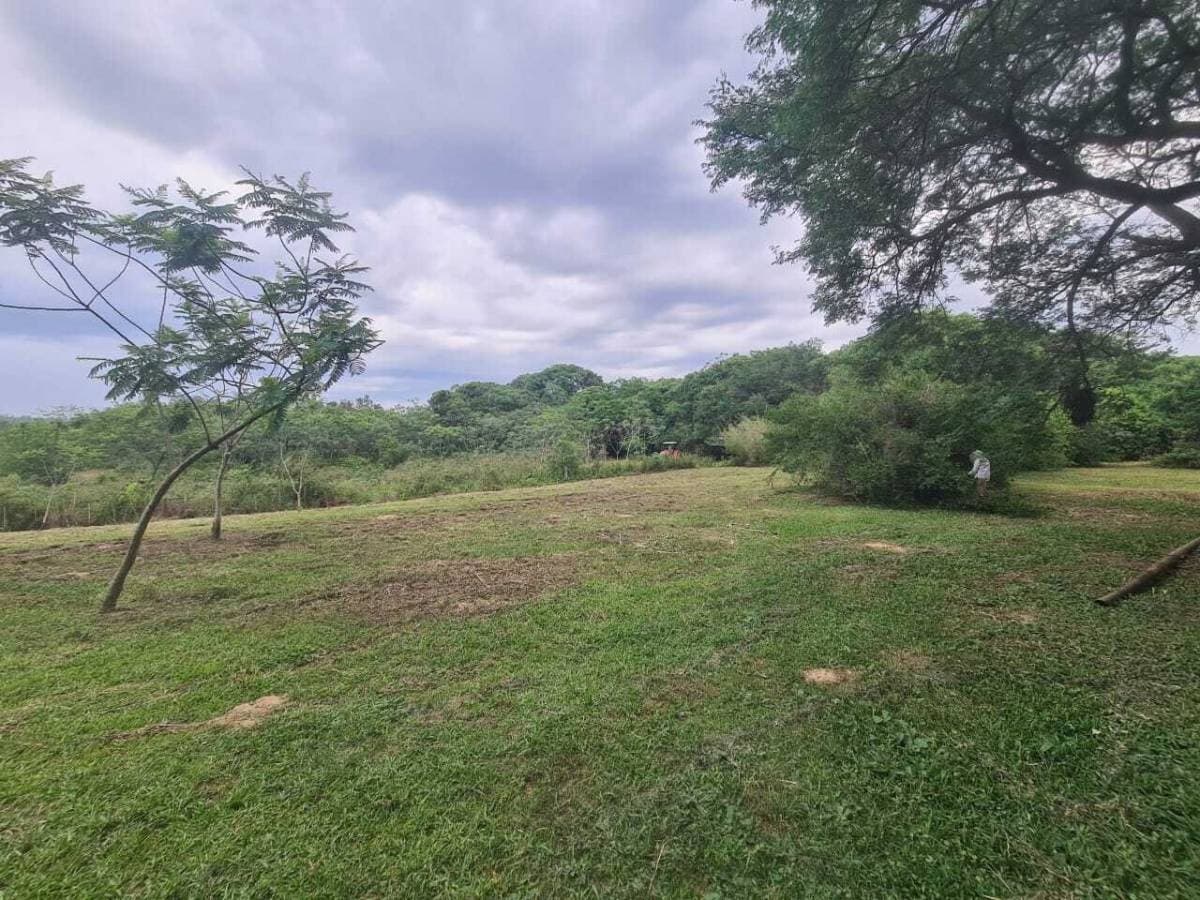 Vendo 2 hectáreas en Luque Isla Bogado – 2
