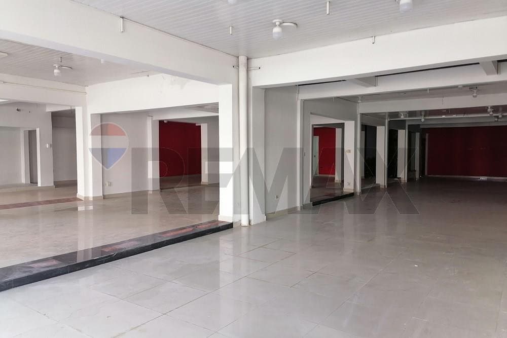 Alquilo local comercial sobre Avda Eusebio Ayala, Barrio Ciudad Nueva – 2