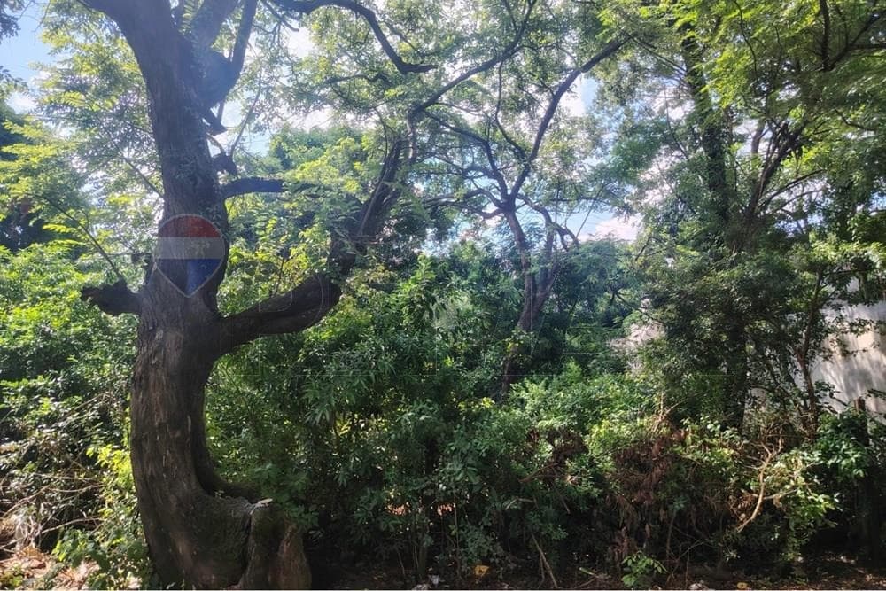 TERRENO EN CAPILLA DEL MONTE - SAN LORENZO EN VENTA (420 M2) – 3