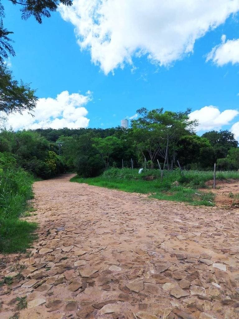 Vendo terreno en esquina de 7685 m2 en San Bernardino Pirayui – 2