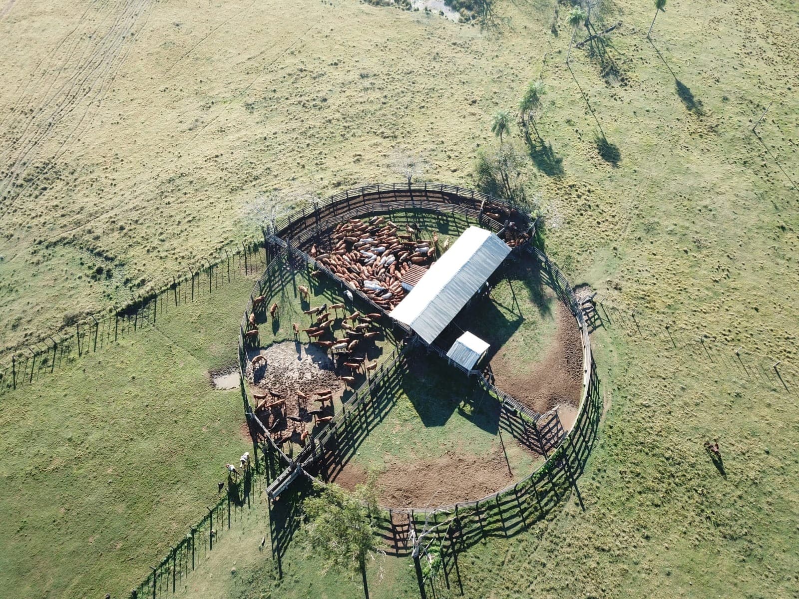 Exclusiva Estancia en Itacurubí del Rosario: Un Paraíso a Solo 230 km de Asunción – 3