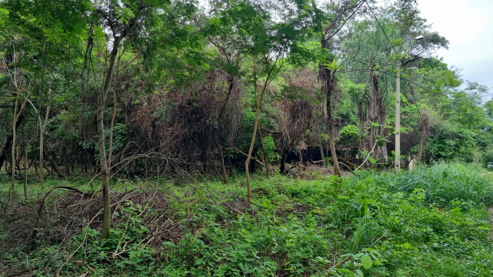 Vendo terrenos en Aregua! – 2