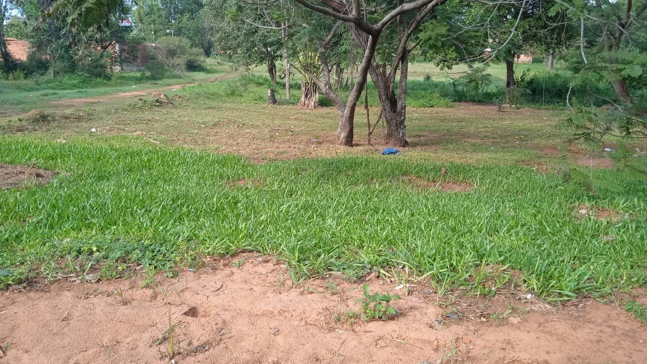 VENDO TERRENO EN MORA KUE - LUQUE - 429 m2 – 2