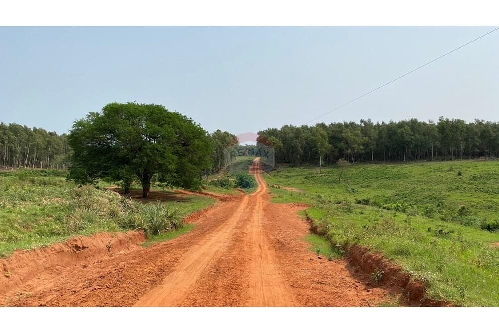 ESTANCIA DE 10.019 HECTAREAS EN CAAGUAZU J.A. – 2
