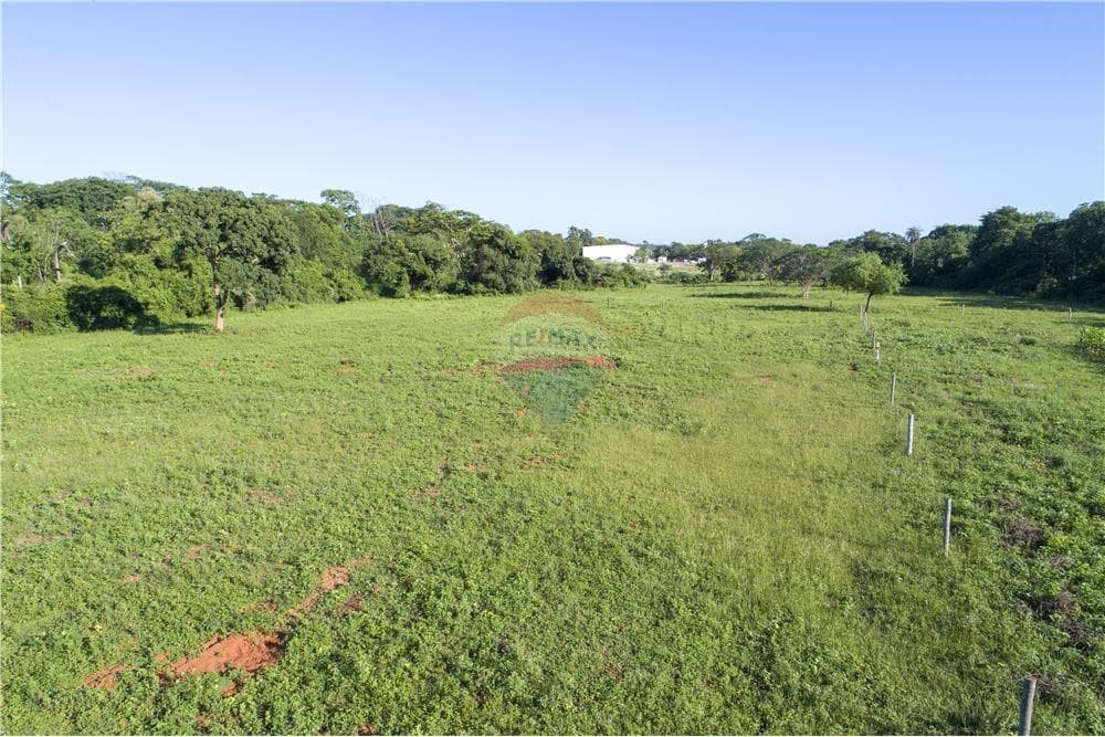 D.G. EN VENTA – TERRENO DE 3 HECTÁREAS EN LUQUE – 3