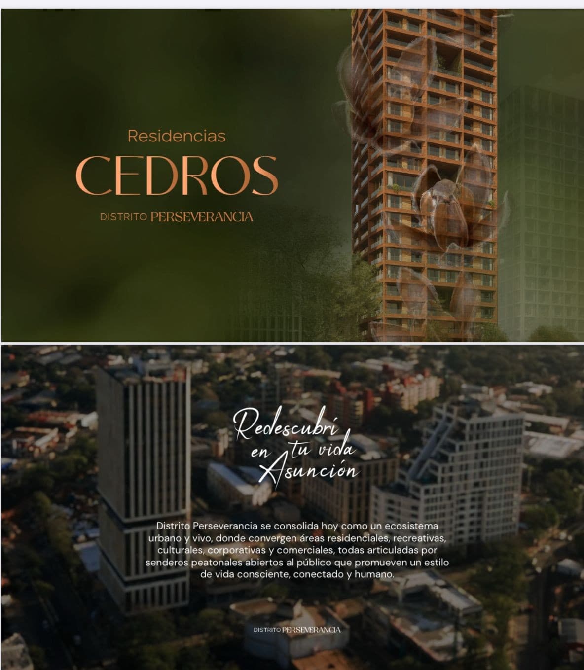 Invierta en el futuro: Exclusivos departamentos en pozo en Distrito Perseverancia con financiación flexible a 40 meses. – 3