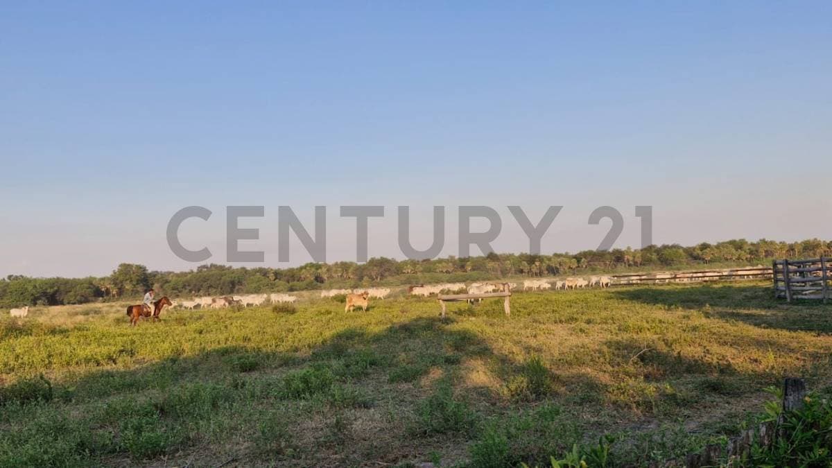 Vendo propiedad – Bajo Chaco, Distrito de General Bruguez, Presidente Hayes – 2