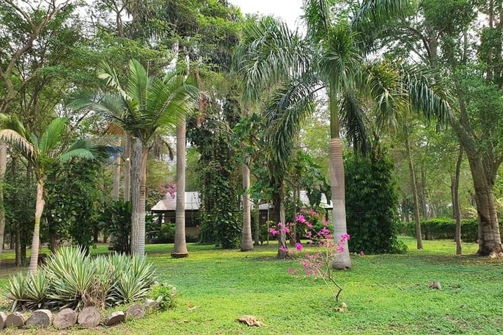 En venta Estancia en Bahía Negra Chaco Paraguayo – 3
