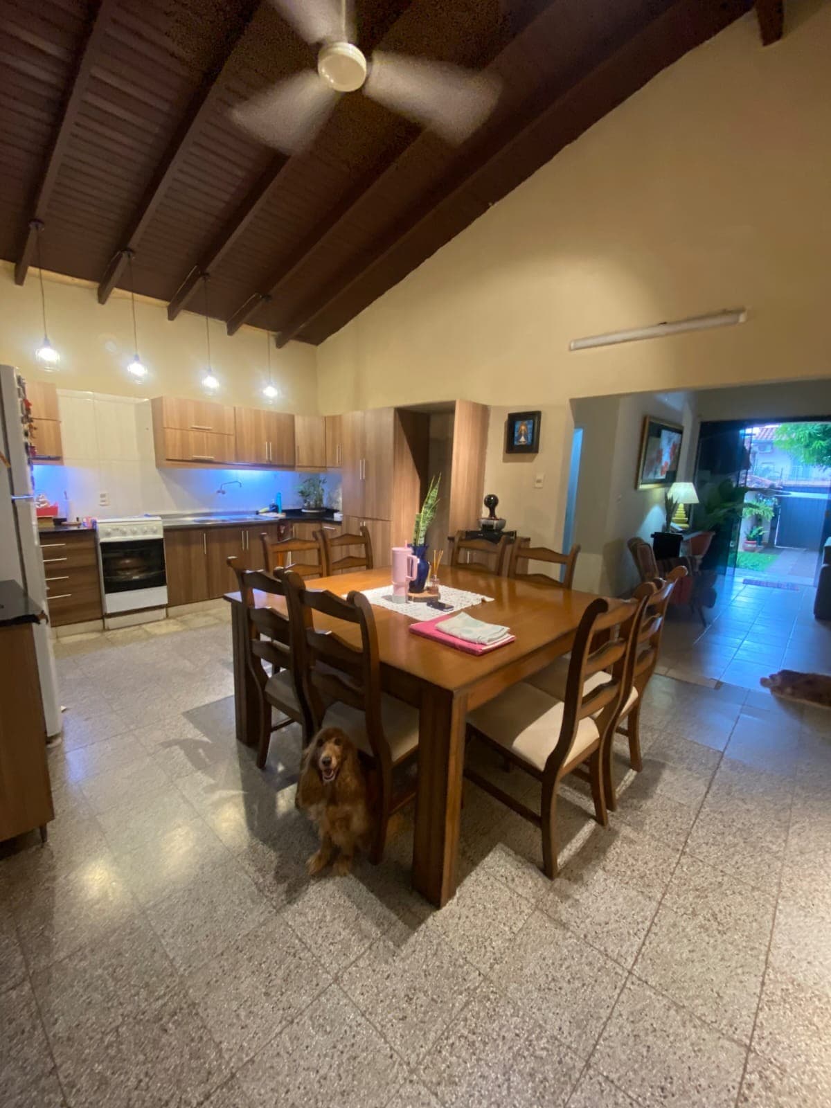 En venta Hermosa casa en esquina , a 300 metros de la Avda. General Santos y de la Avda. Bruno Guggiari – 2