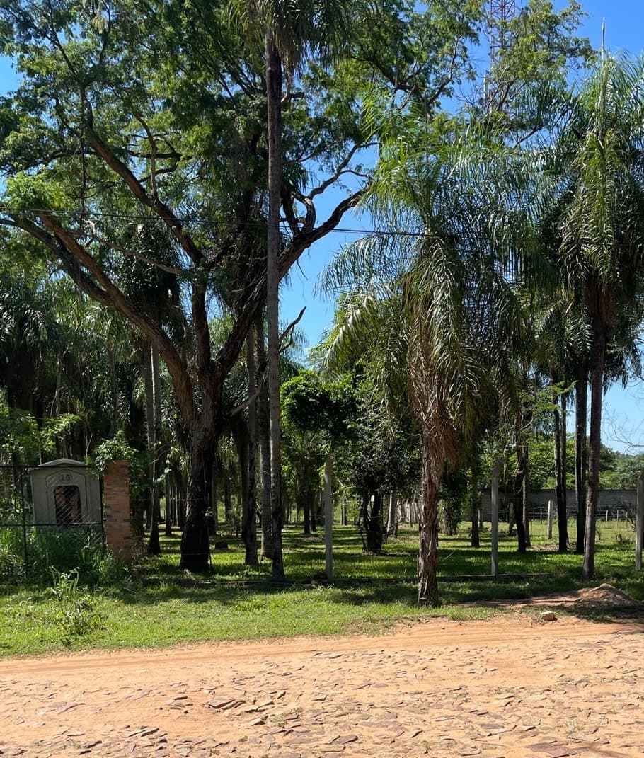 Exclusivo Terreno de 520m² en San Bernardino, Barrio Cristóbal Colón: ¡Tu Oportunidad de Inversión o el Lugar Ideal para Construir la Casa de tus Sueños! – 2