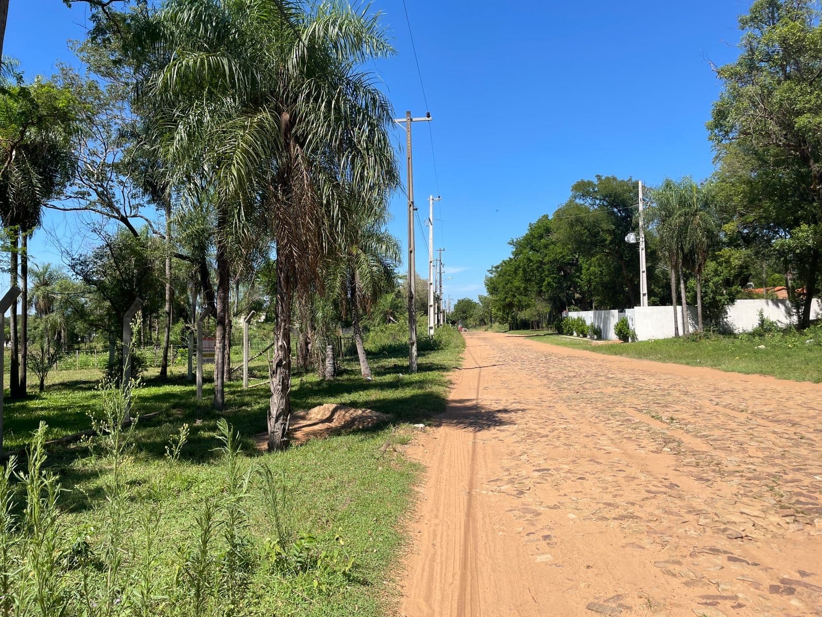 Exclusivo Terreno de 520m² en San Bernardino, Barrio Cristóbal Colón: ¡Tu Oportunidad de Inversión o el Lugar Ideal para Construir la Casa de tus Sueños! – 3