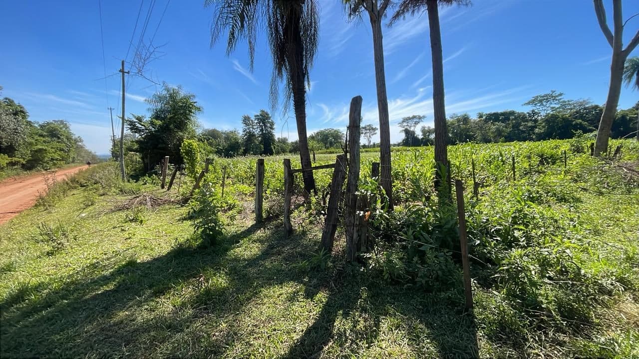Vendo 10 hectáreas en San José de los Arroyos – 3