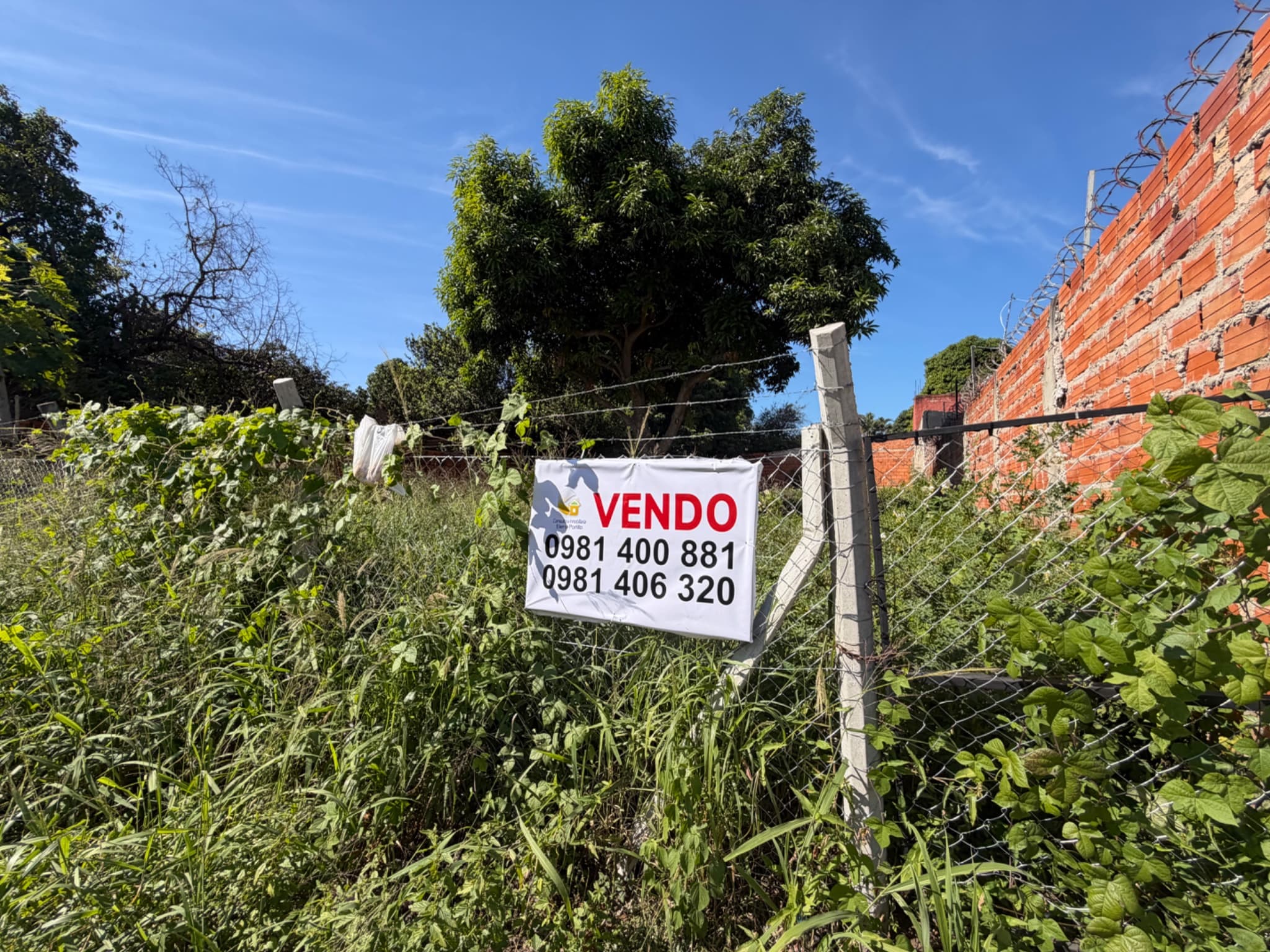 REMATAMOS TERRENO LISTO A TRANSFERIR