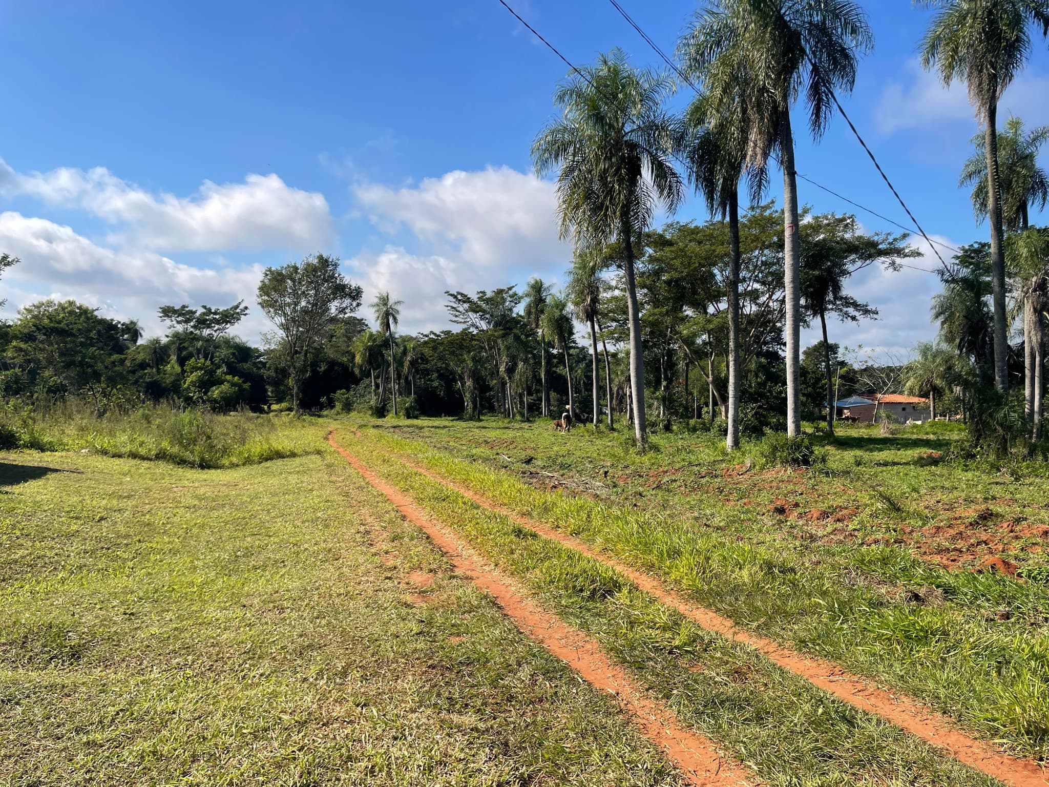 OFERTA DE LANZAMIENTO: ÚLTIMOS 9 LOTES EXCLUSIVOS EN ITÁ (caaguasui) a metros del hospital nacional – 2
