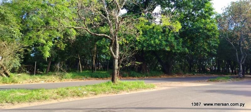 VENTA TERRENO 1.806 M2 Z/ SUPER STOCK BRITEZ BORGES LUQUE (CÓD. 1387)