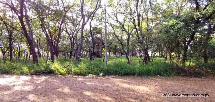VENDO TERRENO 10.515M2 Z/ SUPER STOCK BRITEZ BORGES LUQUE (CÓD. 1386) – 3