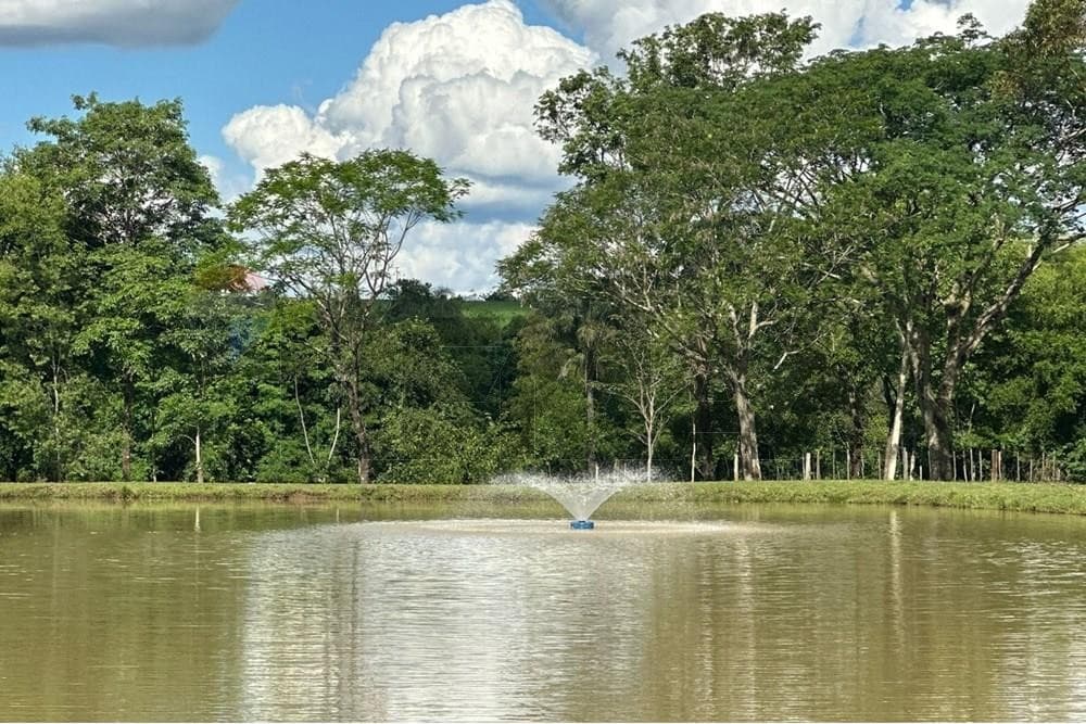 En venta estanca porton cerrado en Tavapy, Alto Paraná – 3