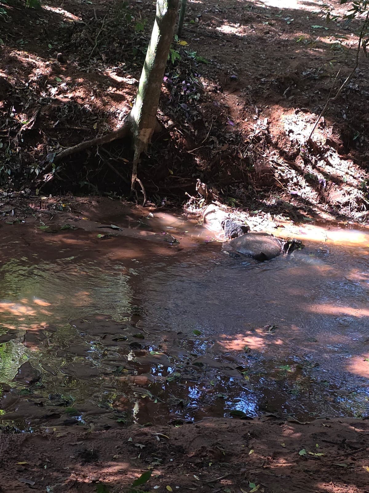OPORTUNIDAD ÚNICA EN PIRAYU - Vendo Terreno Amplio con Arroyo Propio – 3