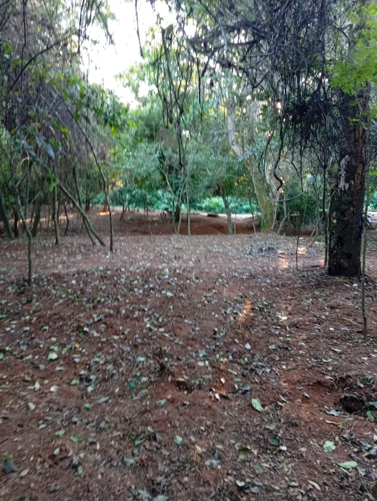 OPORTUNIDAD ÚNICA EN PIRAYU - Vendo Terreno Amplio con Arroyo Propio – 2