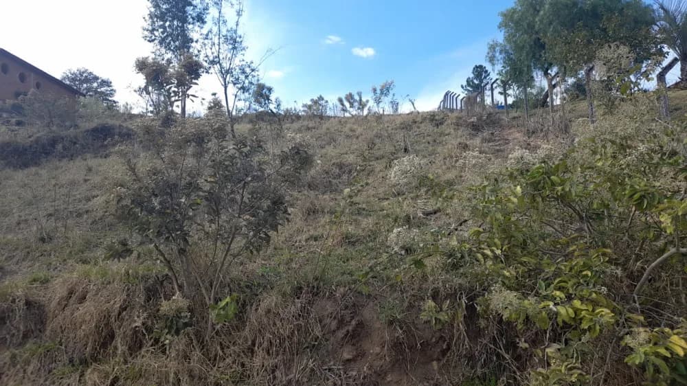 Chácara para venda na Fazenda Tamburi - Amparo/SP – 2