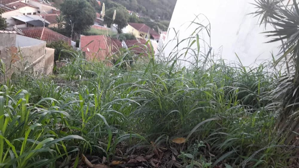 OPORTUNIDADE!! Terreno à venda no Jd. Primavera em Amparo com 316m2 – 3