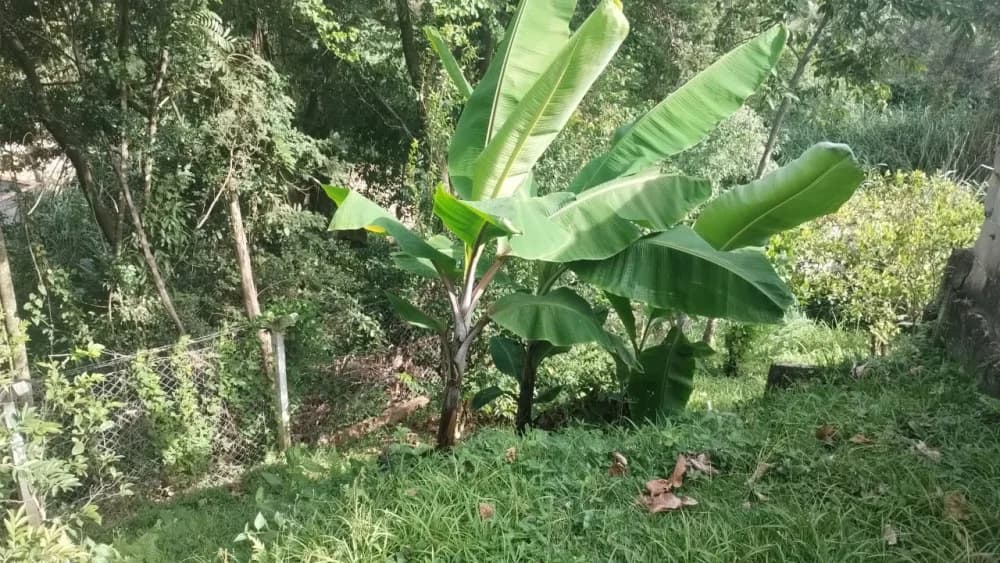 Chácara no Jardim Nova Era – 2