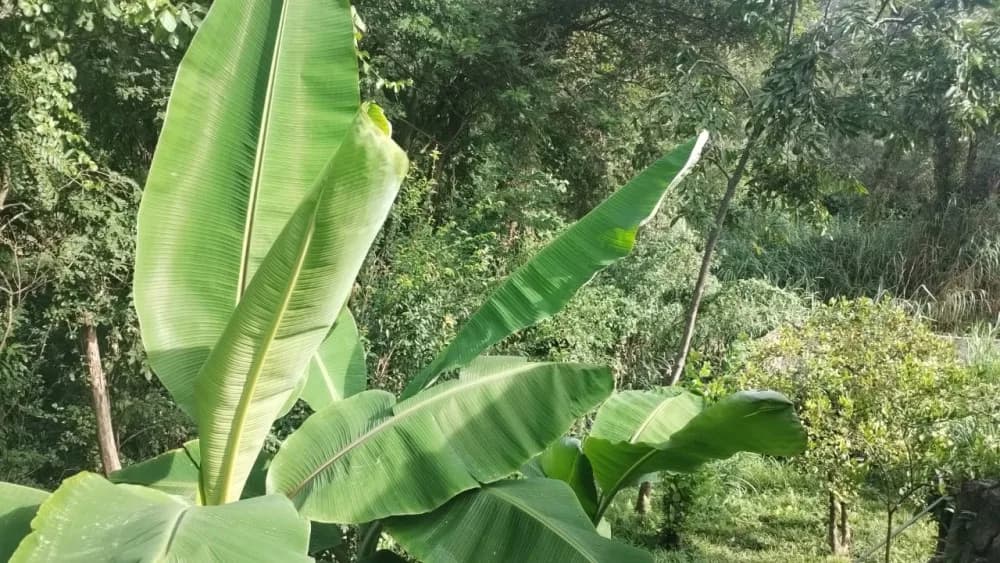 Chácara no Jardim Nova Era – 3